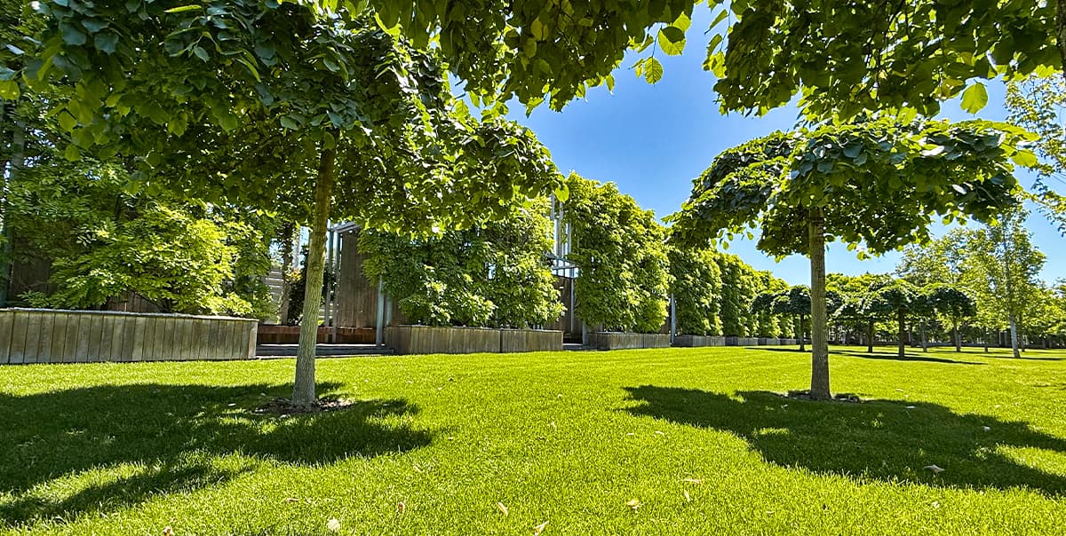 Треккинг в Горячем Ключе