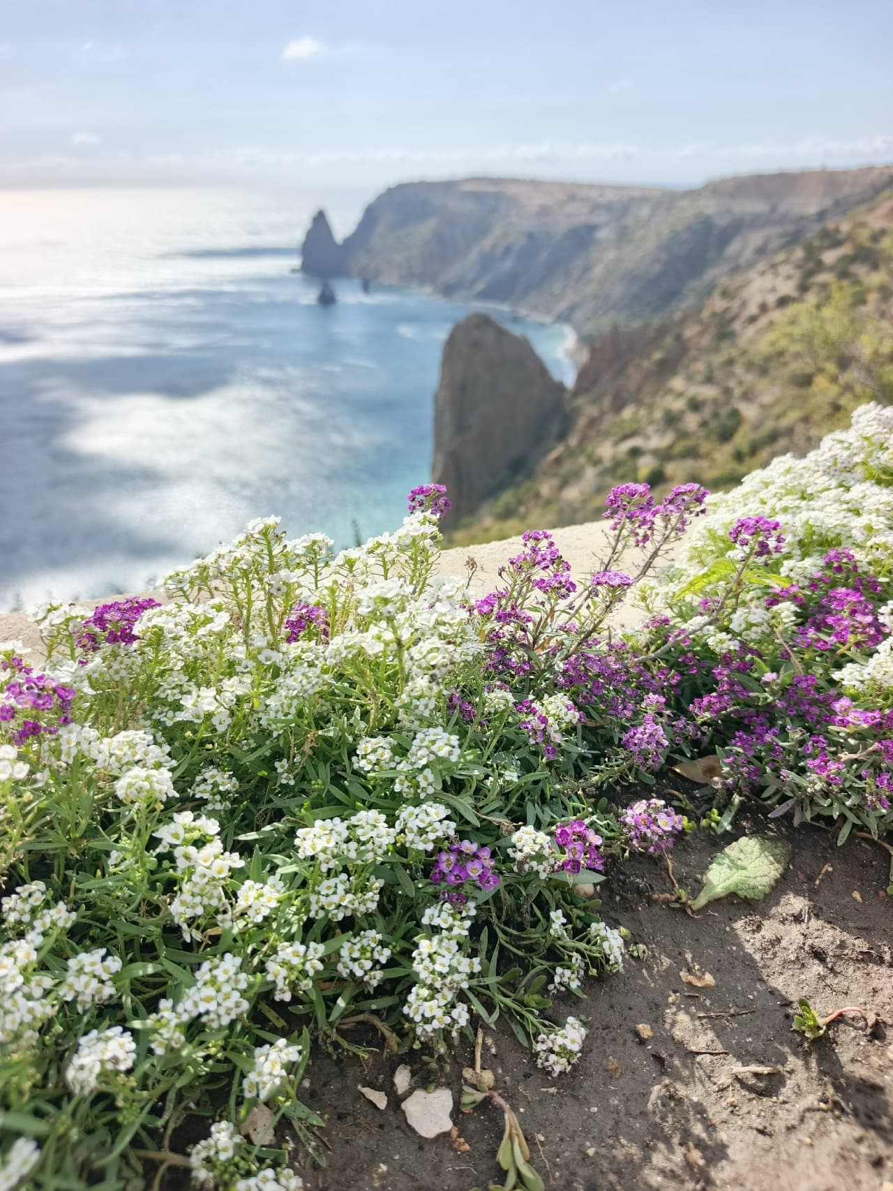 Тур «Крым: Севастополь + Бахчисарай»