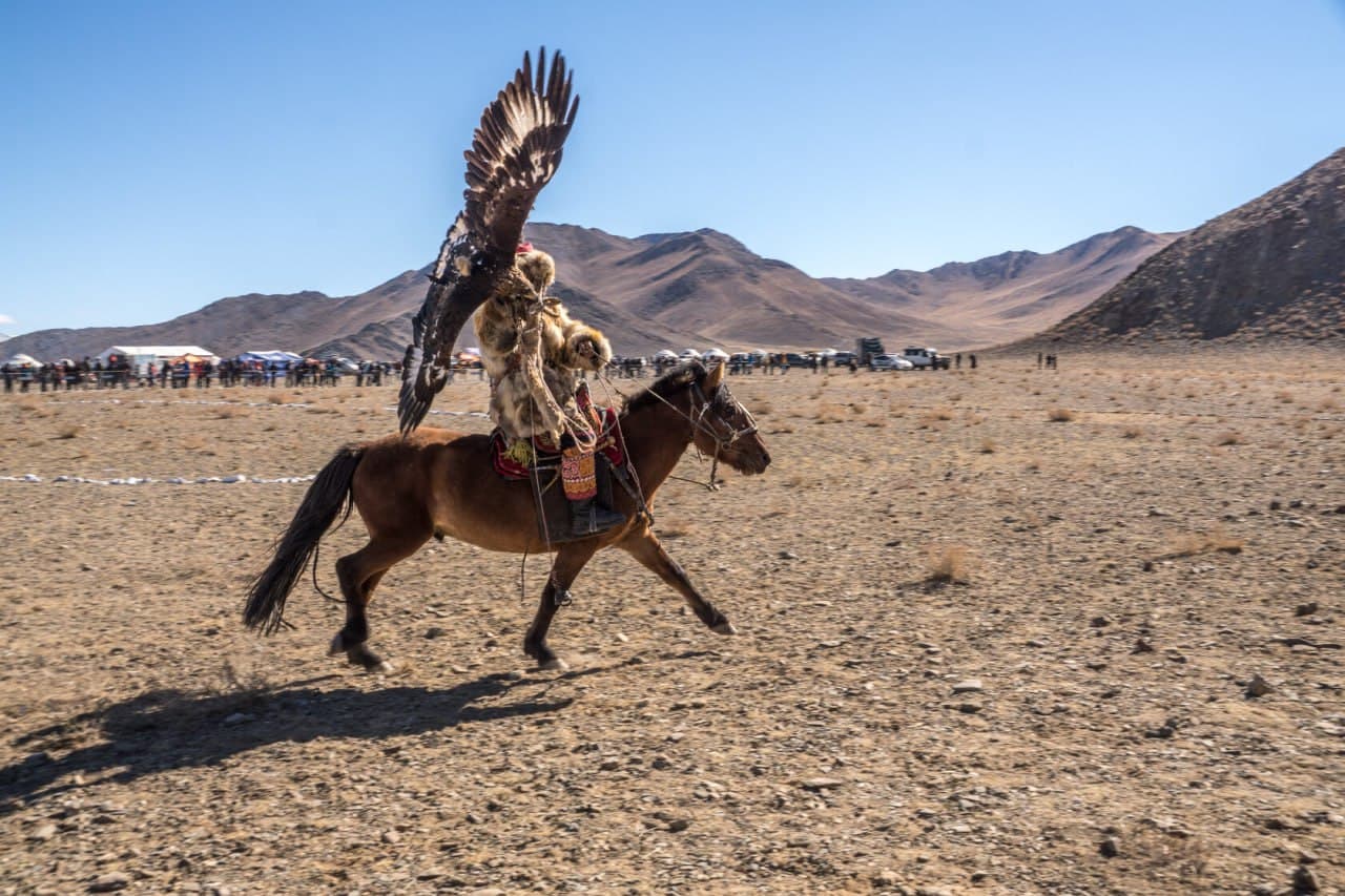Авторский тур "Алтай & Монголия: Путь кочевников" 10 дней / 9 ночей - фото 6