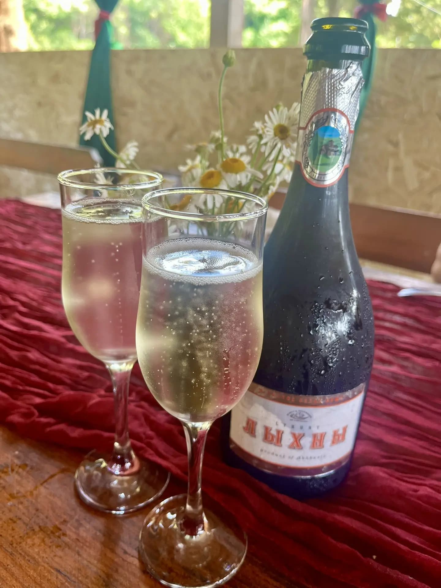 ВКУС ВЕСЕННЕЙ АБХАЗИИ - фото 3