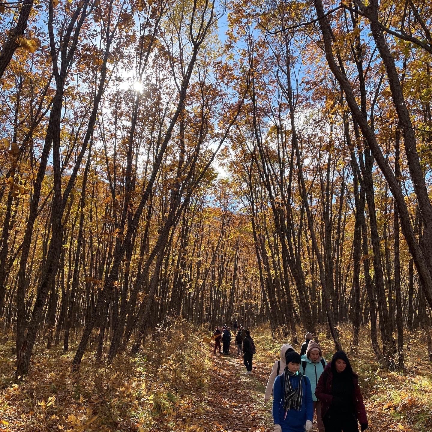 Ущелье Дарданеллы. 3 скалы - фото 8