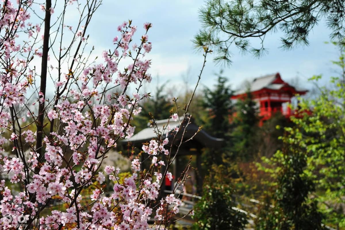 Горячий ключ + цветущий парк Галицкого в Краснодаре - фото 3