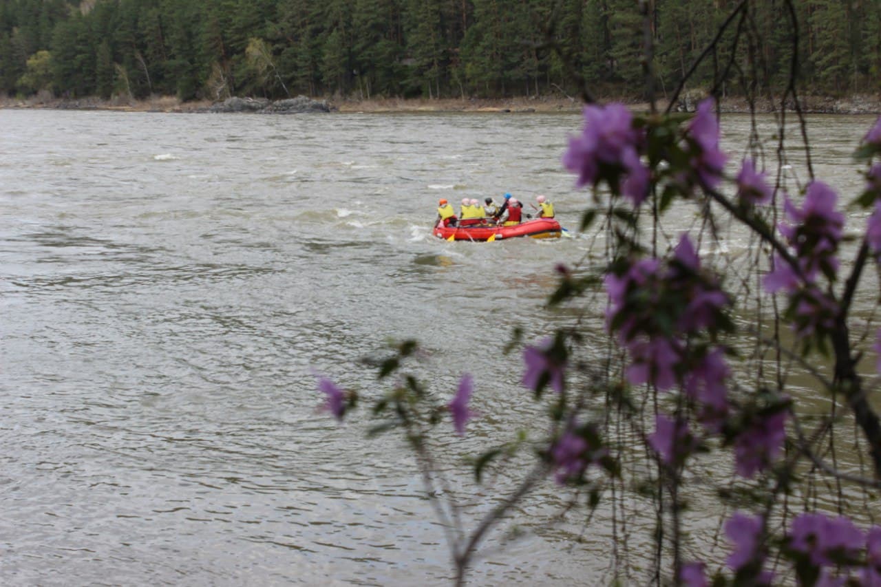 Цветение маральника ( 4 дня / 3 ночи ) - фото 5