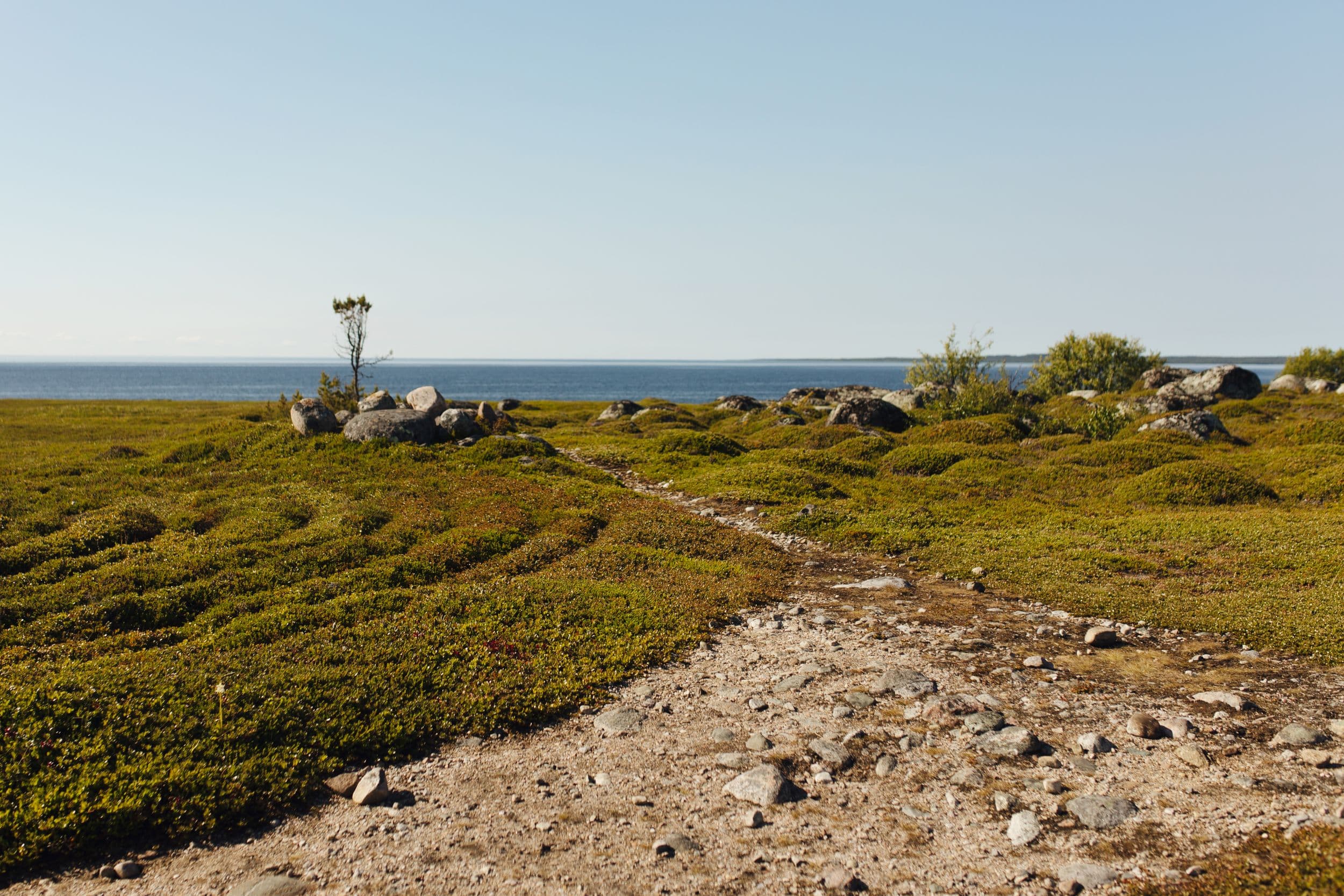 СОЛОВКИ ИЗ САНКТ-ПЕТЕРБУРГА на 3 дня - фото 6