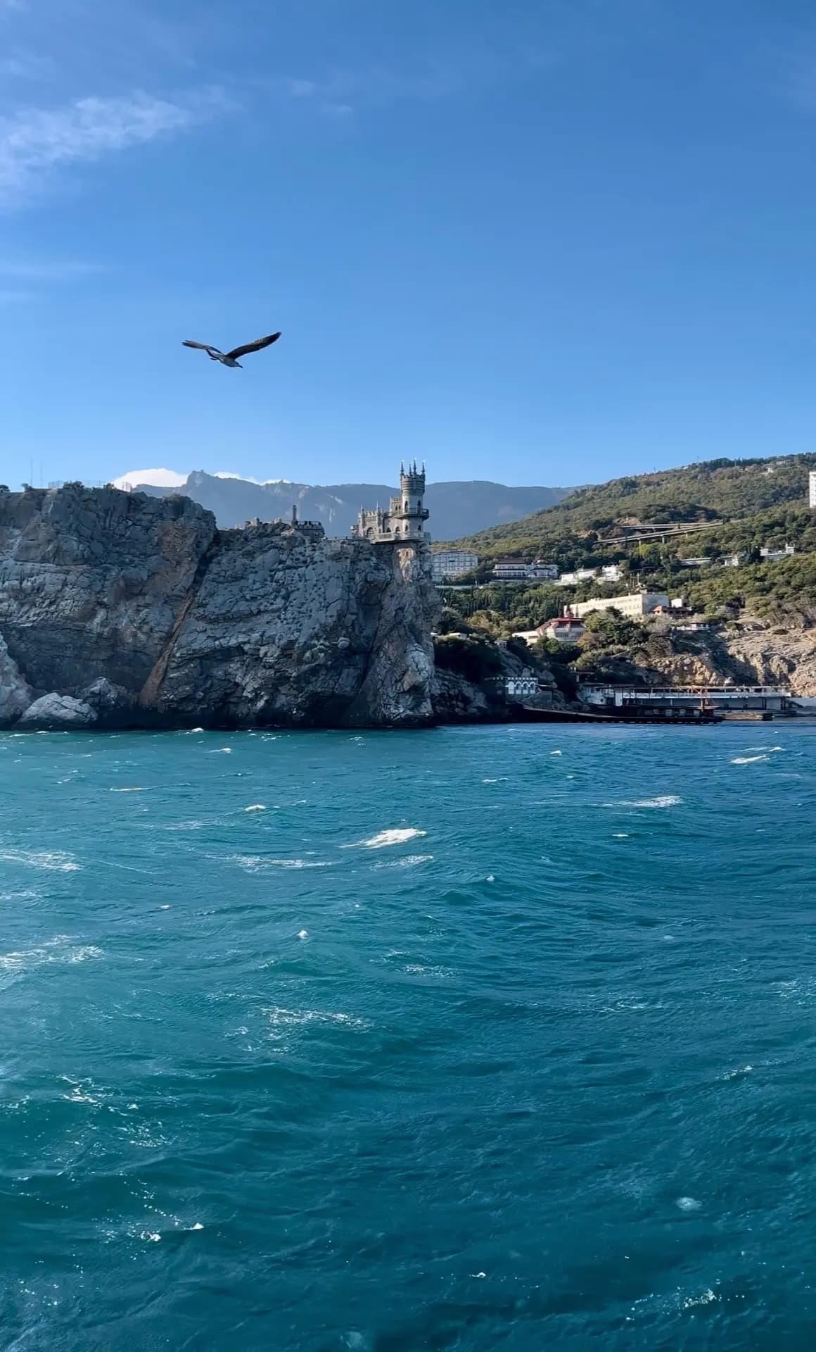 Крым «Мечта о сакуре и весенней Ялте». Mriya Resort • Японский сад «Шесть чувств» • Ялта - фото 1