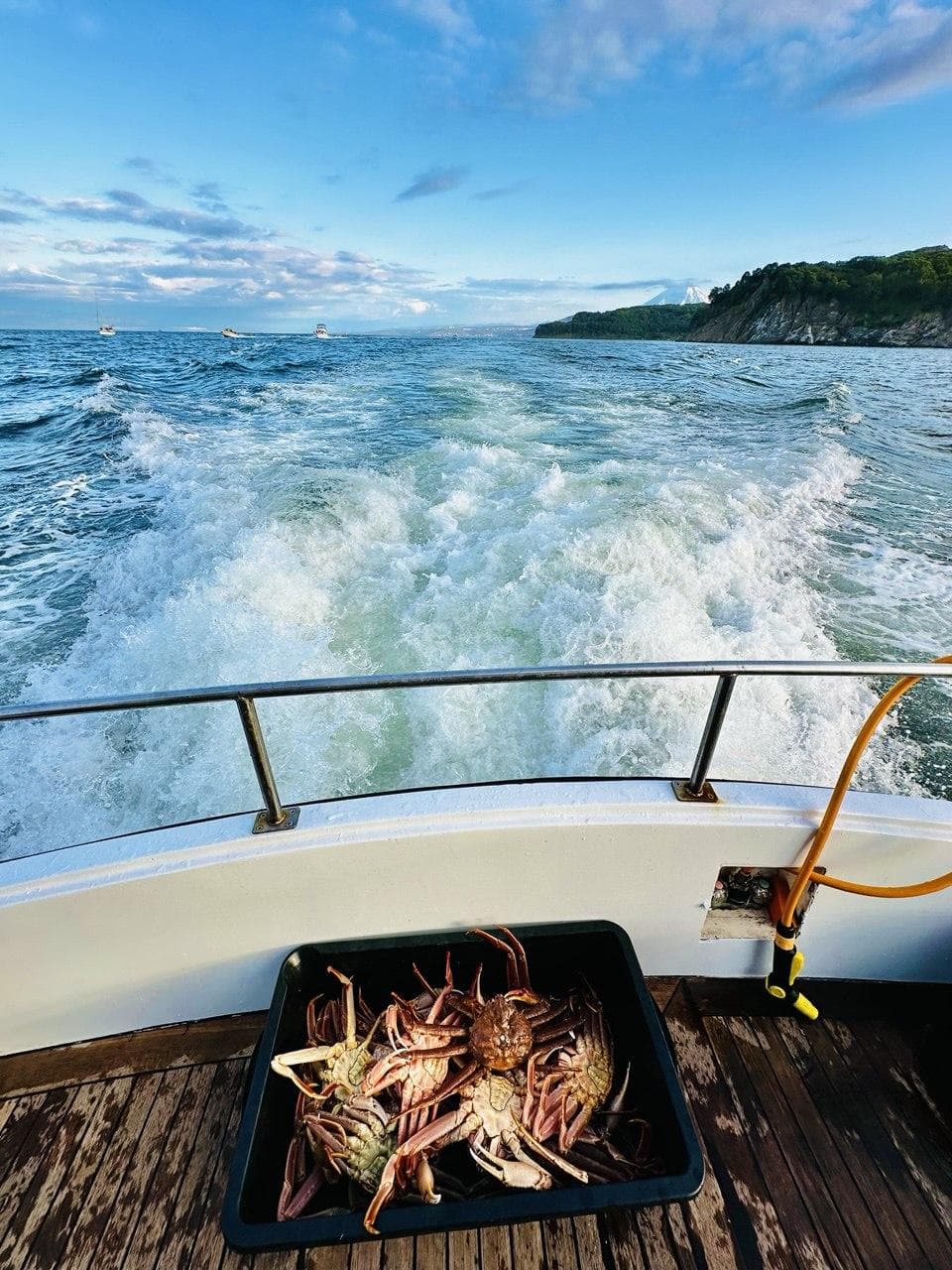 Камчатка - неделя приключений - фото 4