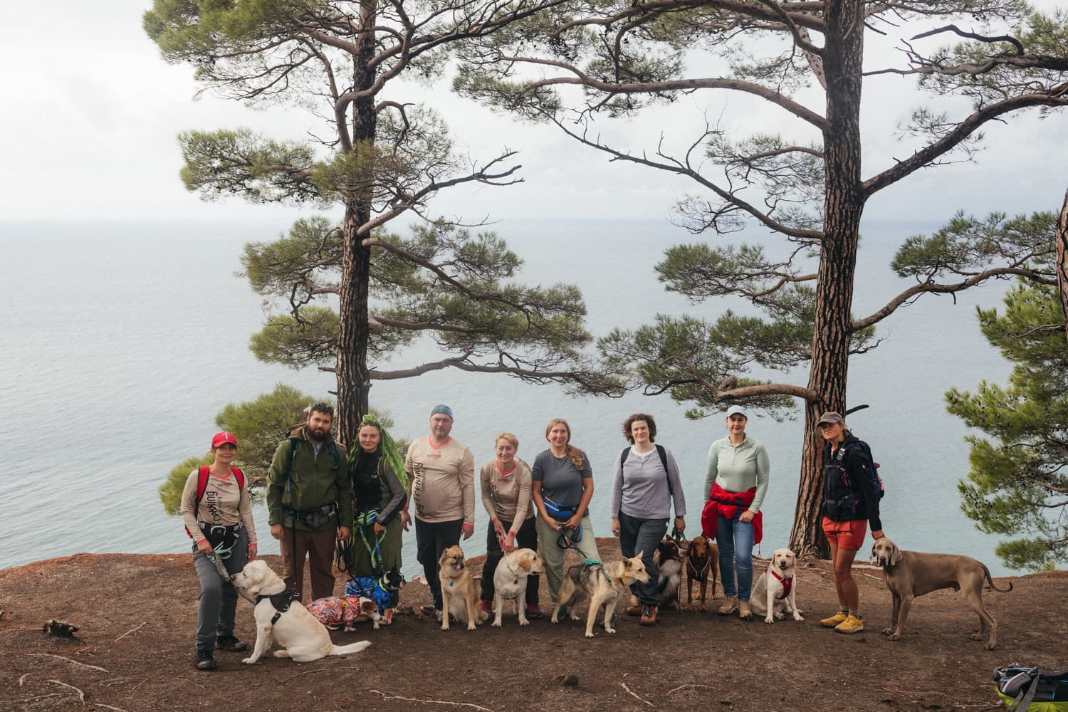 У моря на Вилле с собакой - фото 7