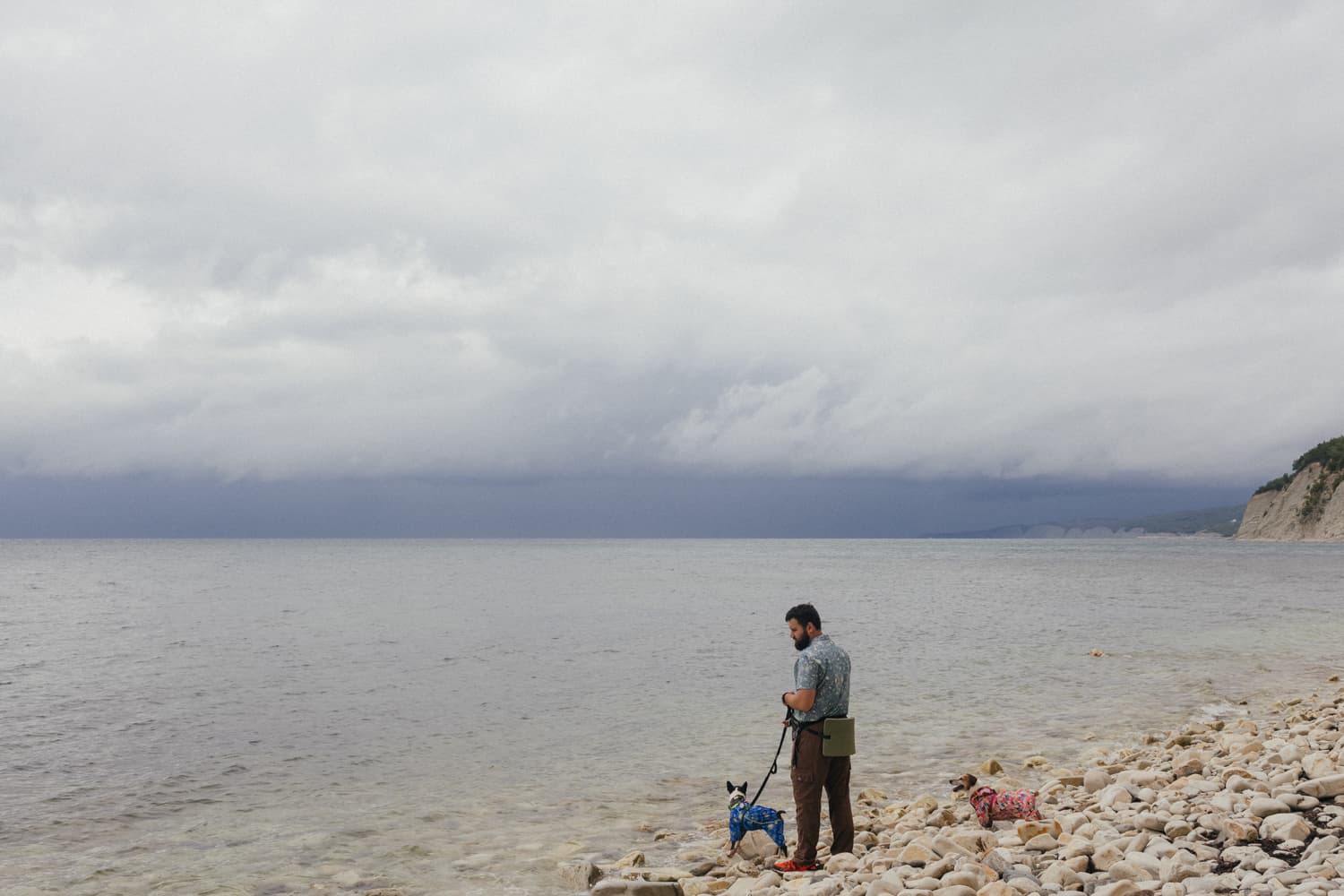 У моря на Вилле с собакой - фото 2