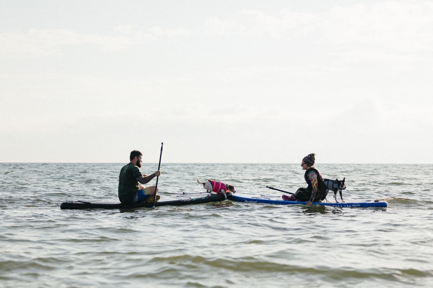 У моря на Вилле с собакой - фото 4