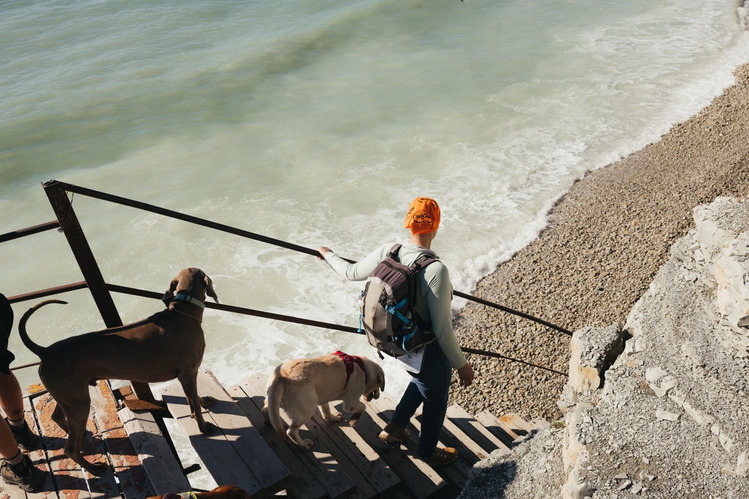 У моря на Вилле с собакой - фото 3