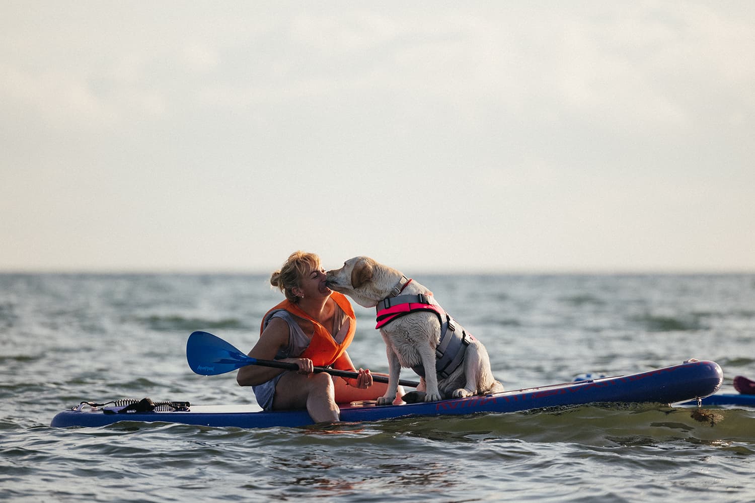 У моря на Вилле с собакой - фото 5