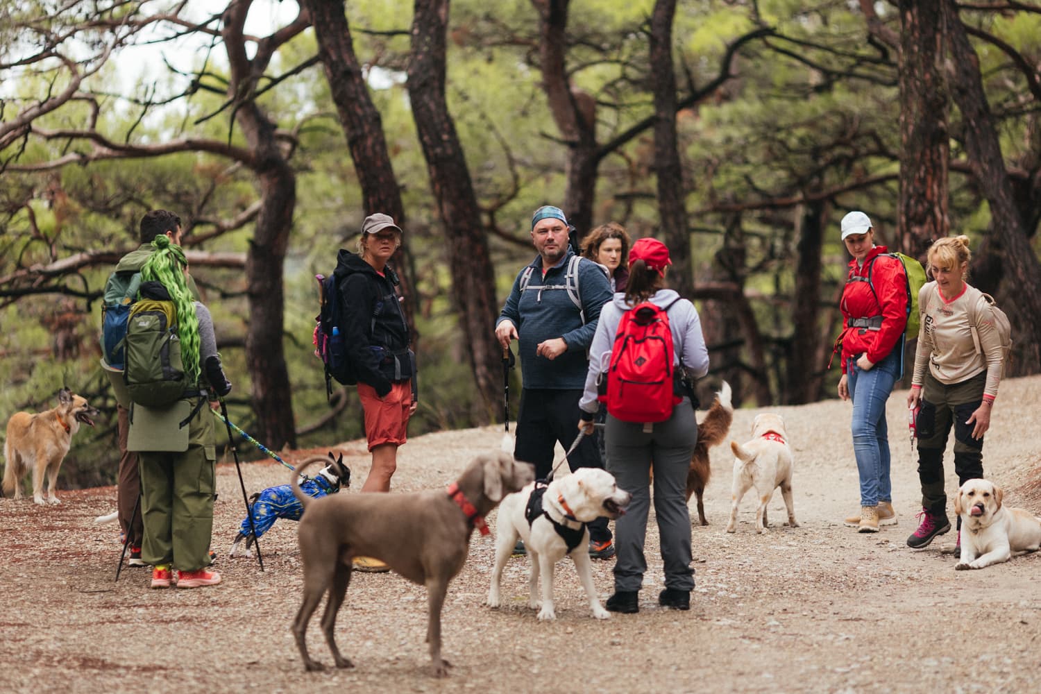У моря на Вилле с собакой - фото 10