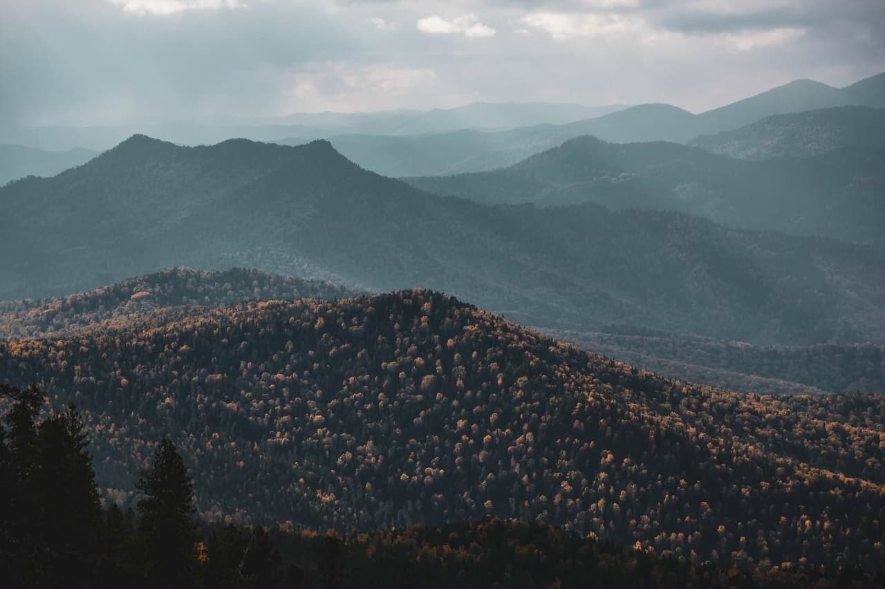 Джип-тур : "Шушенский бор" / Мраморный рудник "Доверия" / на Гладенькую / на СШГЭС - фото 4