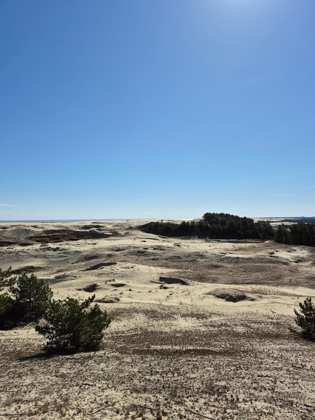 Удивительный Кранц-Зеленоградск и Куршская коса (Однодневный) - фото 1
