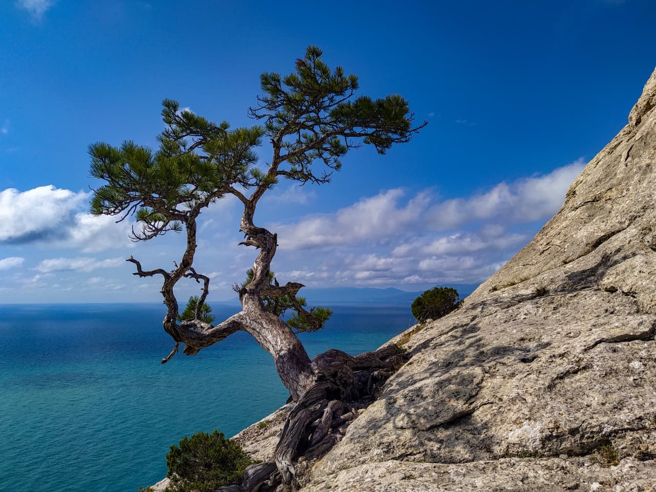 Жемчужины Ялты - фото 3