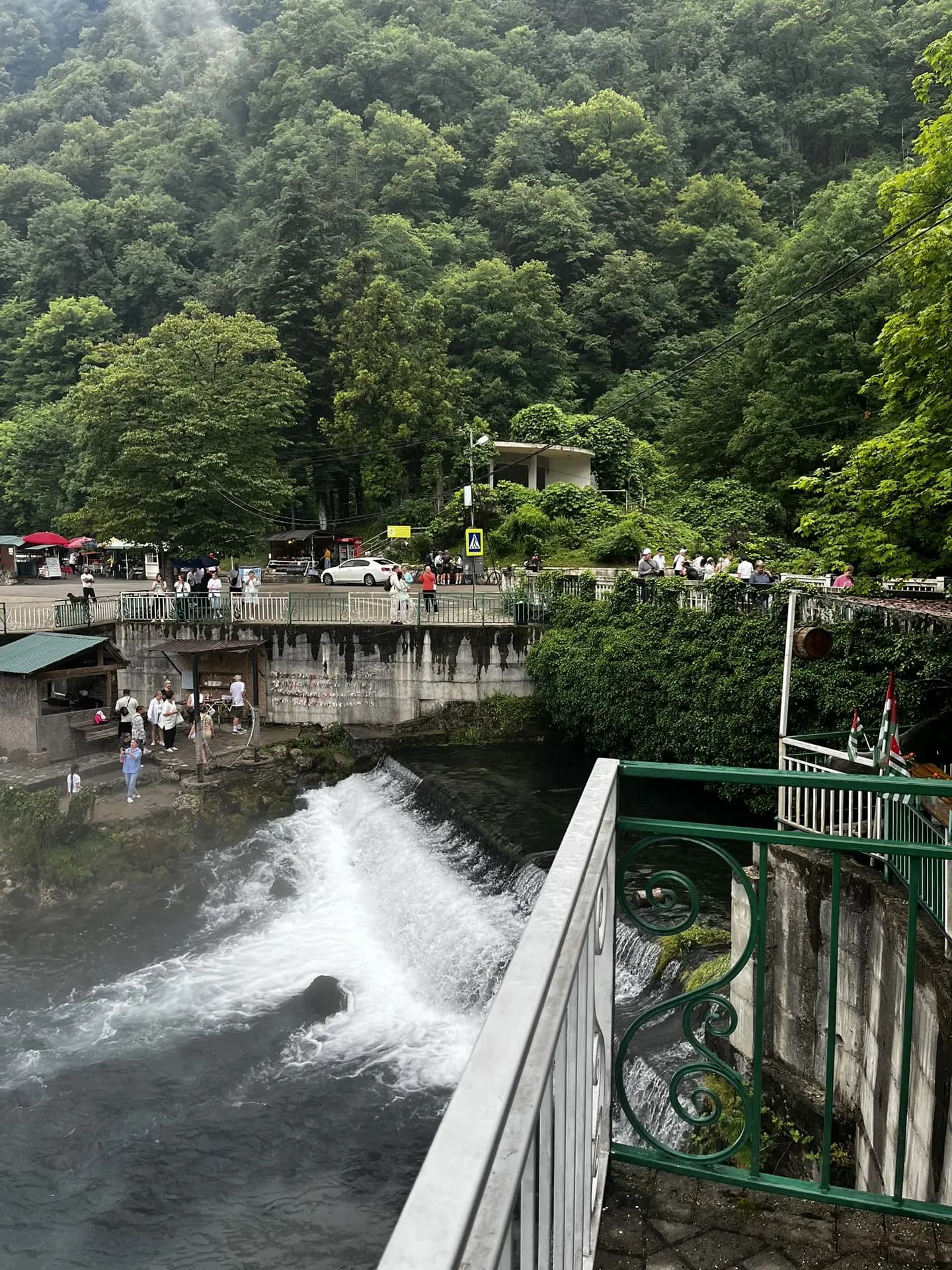 ВКУС ВЕСЕННЕЙ АБХАЗИИ - фото 6