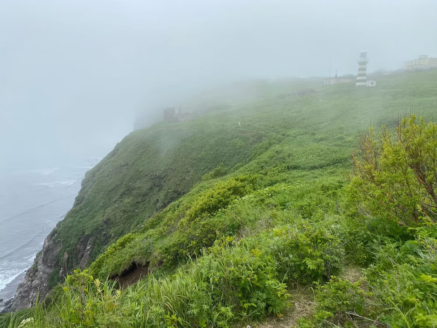 Камчатский Калейдоскоп - фото 7