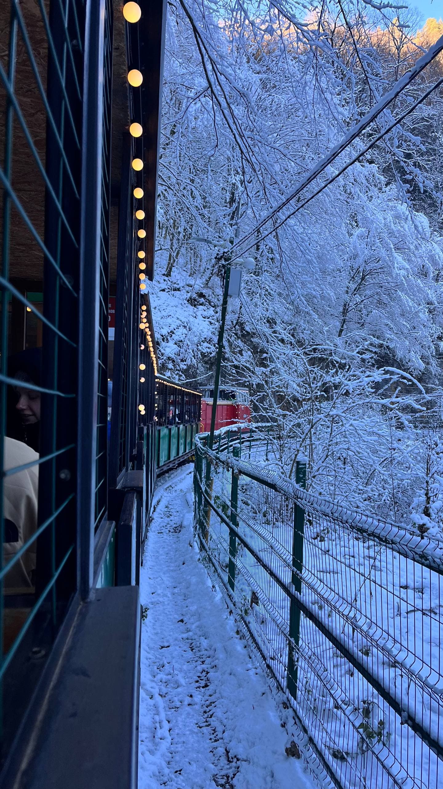 Гуамское ущелье: Погружение в природную сказку - фото 6