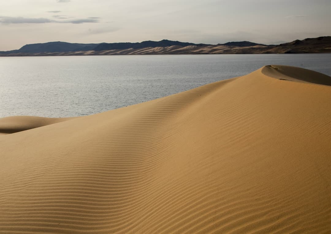 Авторский тур "Алтай & Монголия: Путь кочевников" 10 дней / 9 ночей - фото 4