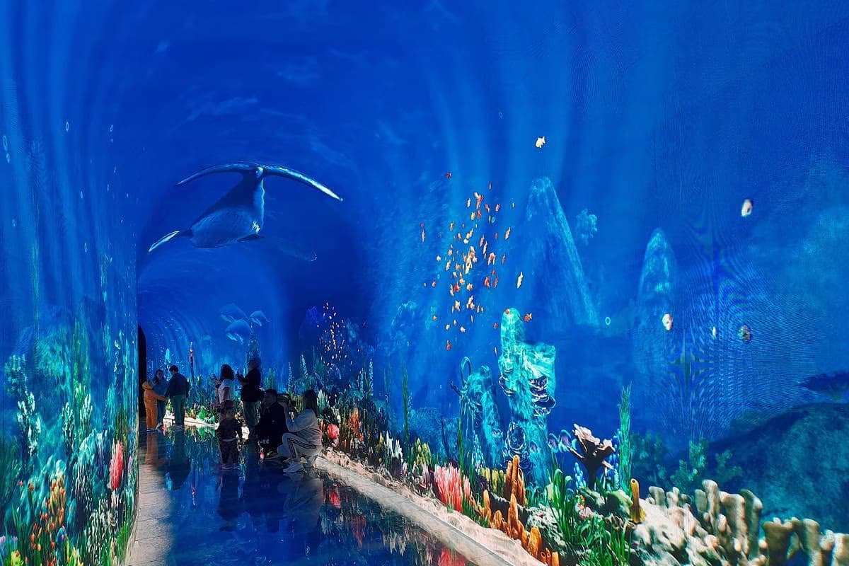 Горячий ключ + цветущий парк Галицкого в Краснодаре - фото 1