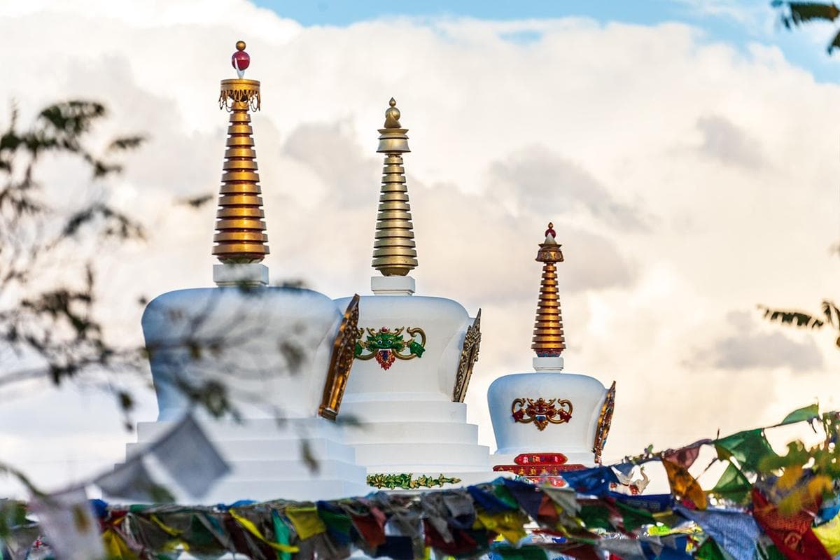 Лотосы в Европе 5 дней / 4 ночи - фото 7