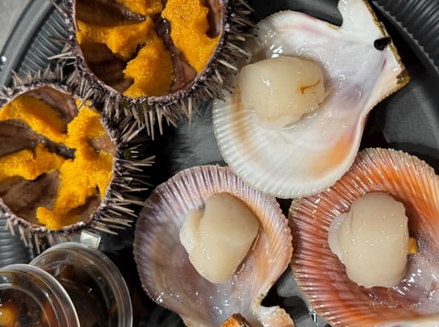 Териберка. Мурманск. Хибины 5 дней/4 ночи - фото 1