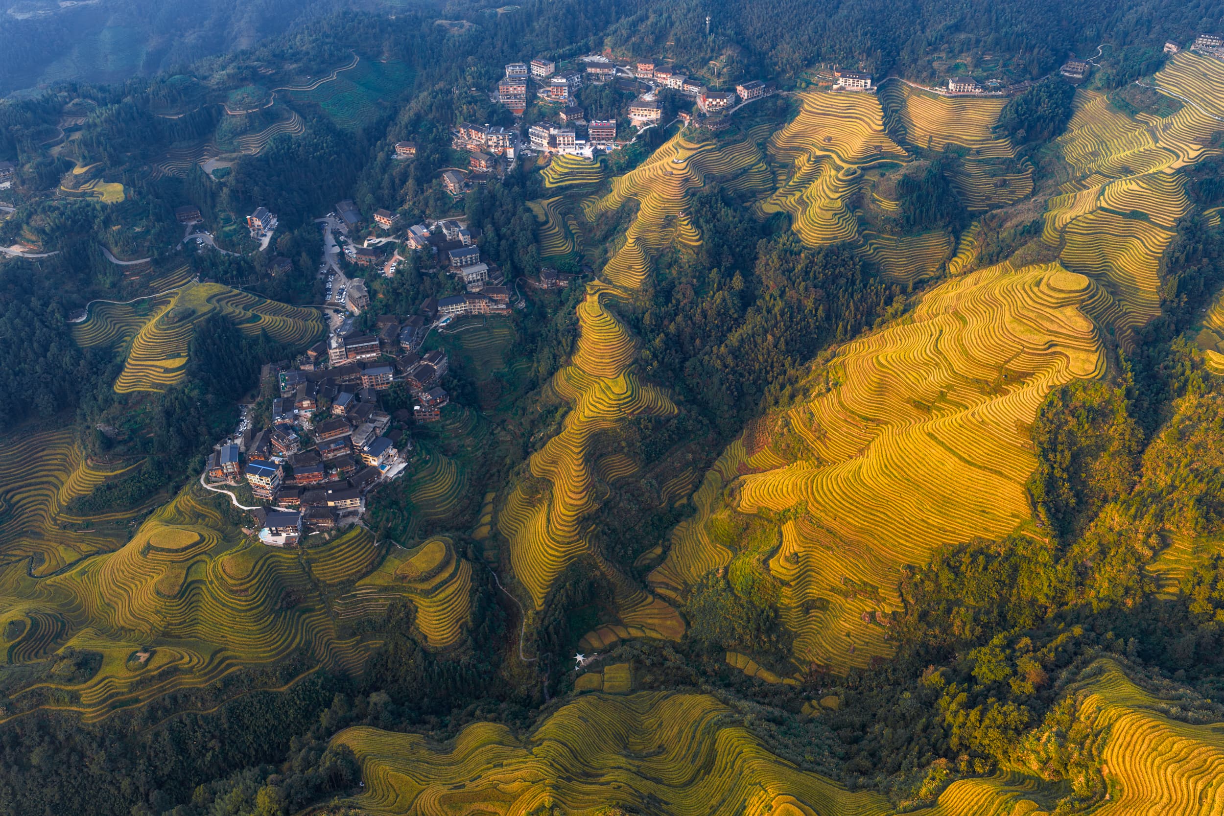 Гранд-тур в Китай | От Гуанчжоу до гор Аватара - фото 6