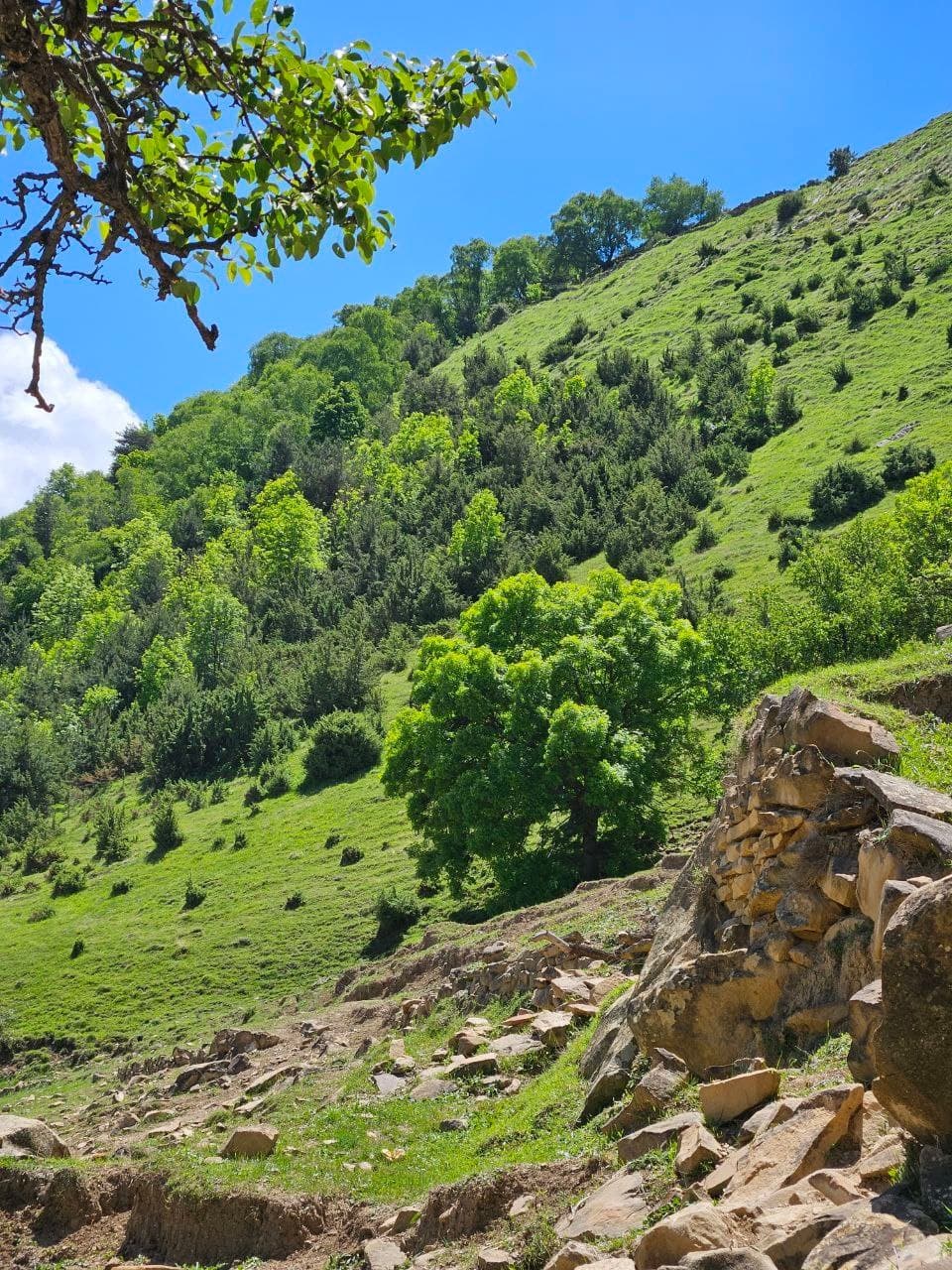 ТУР "В ГОСТИ К ГОРЦАМ" - фото 5