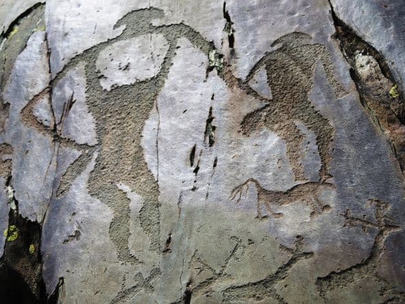 Дары Алтая ( 6 дней / 5 ночей ) - фото 2