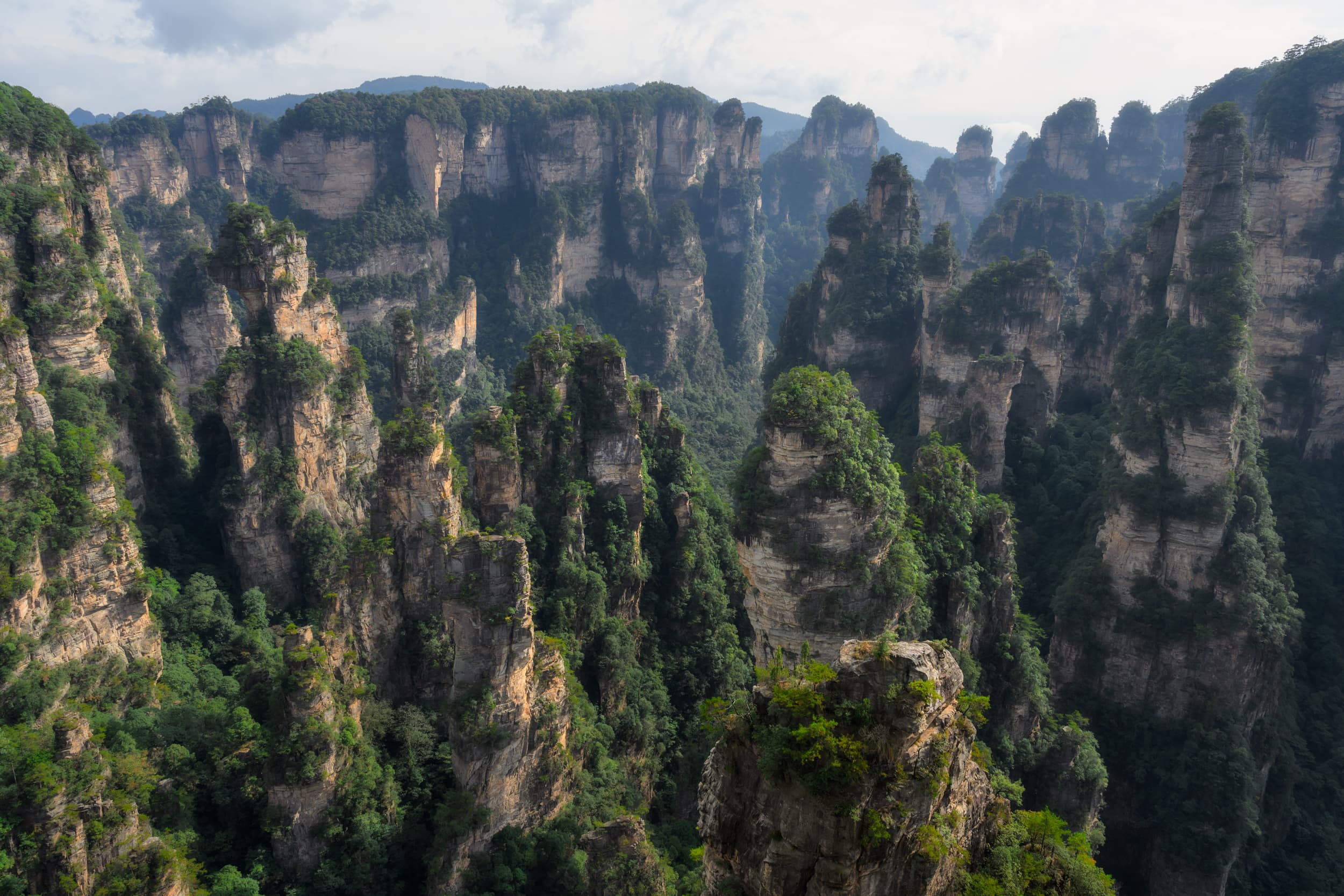 Гранд-тур в Китай | От Гуанчжоу до гор Аватара - фото 10