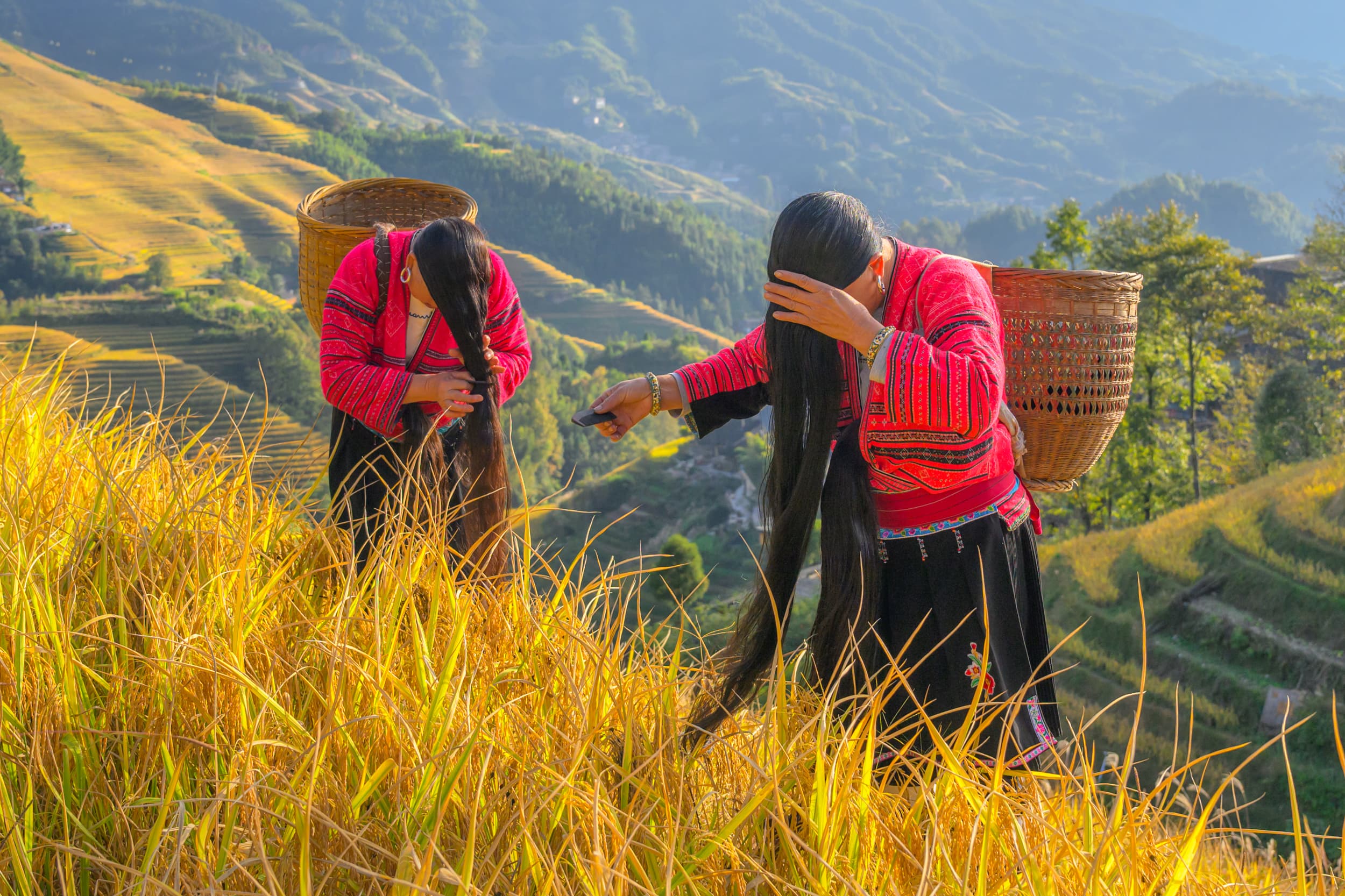 Гранд-тур в Китай | От Гуанчжоу до гор Аватара - фото 8