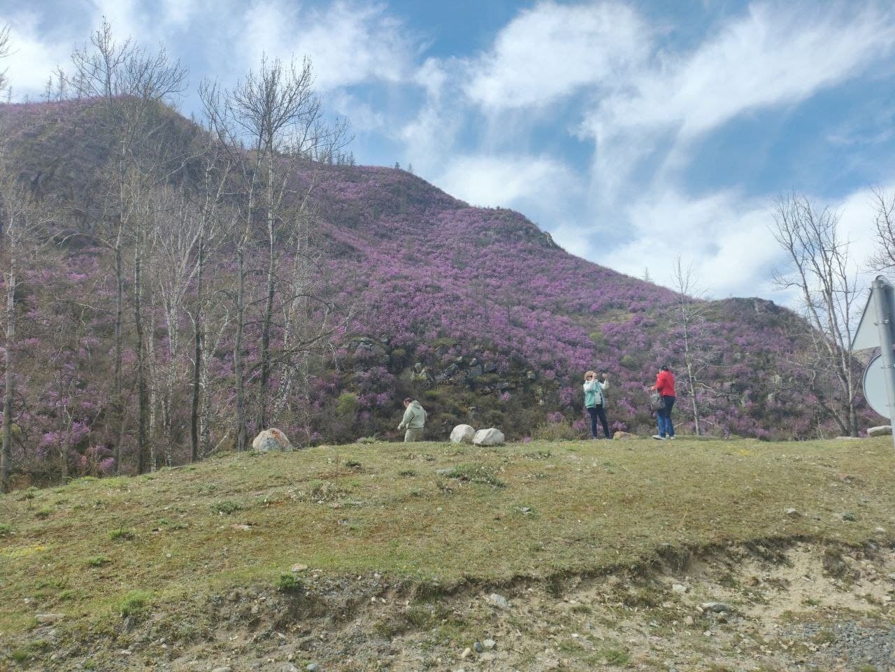 Цветение маральника ( 4 дня / 3 ночи ) - фото 9