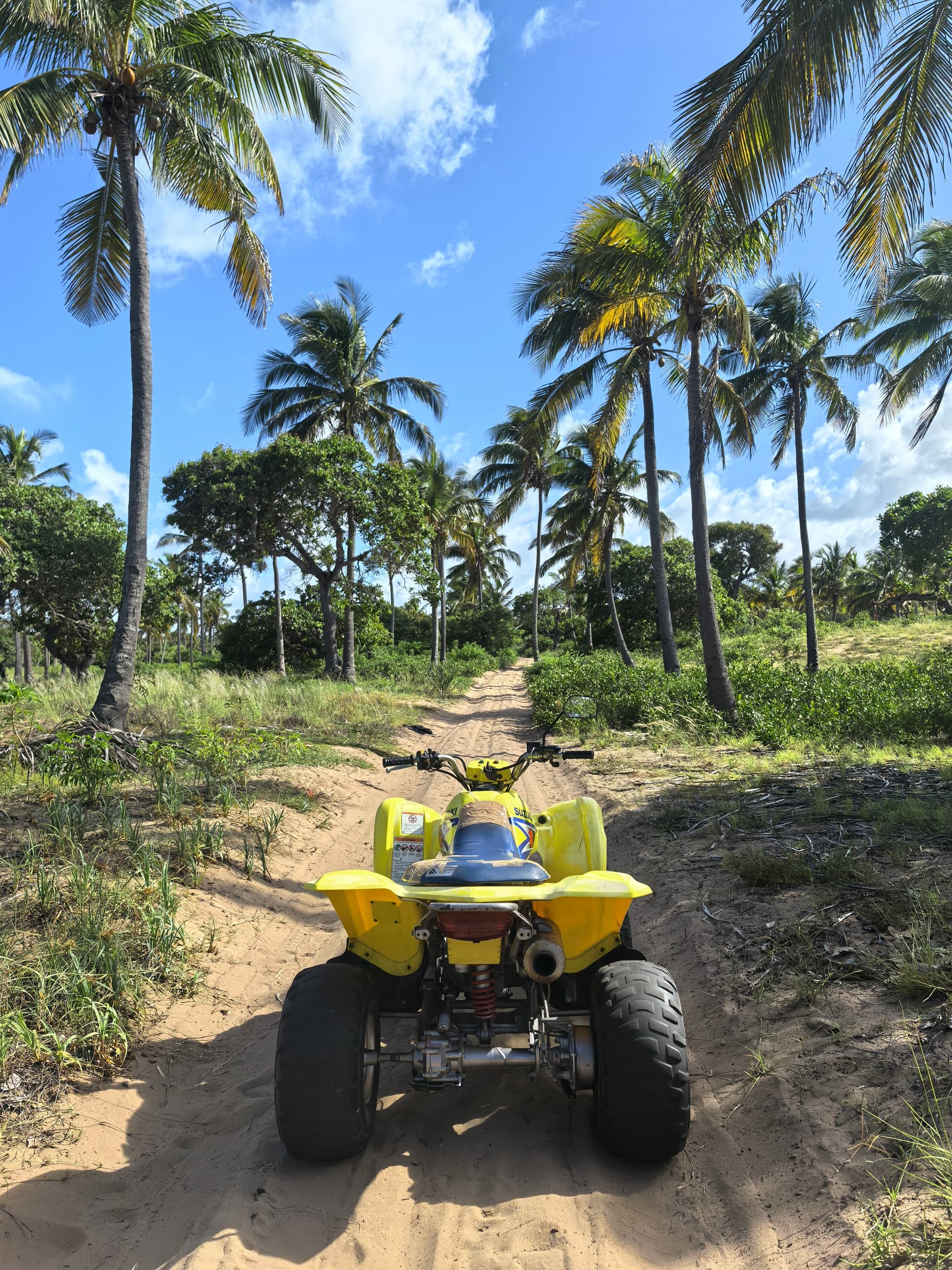РАЙСКИЙ ЗАНЗИБАР И САФАРИ. ТАНЗАНИЯ ЖДЕТ ТЕБЯ - фото 1