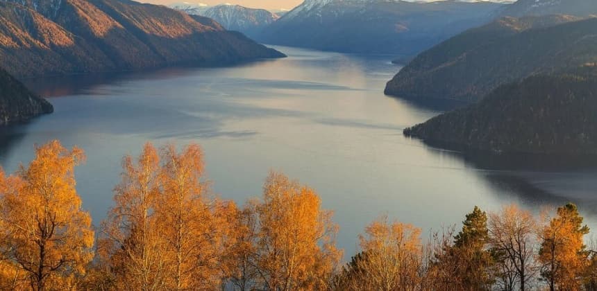 Драгоценная ветвь Алтая - фото 9