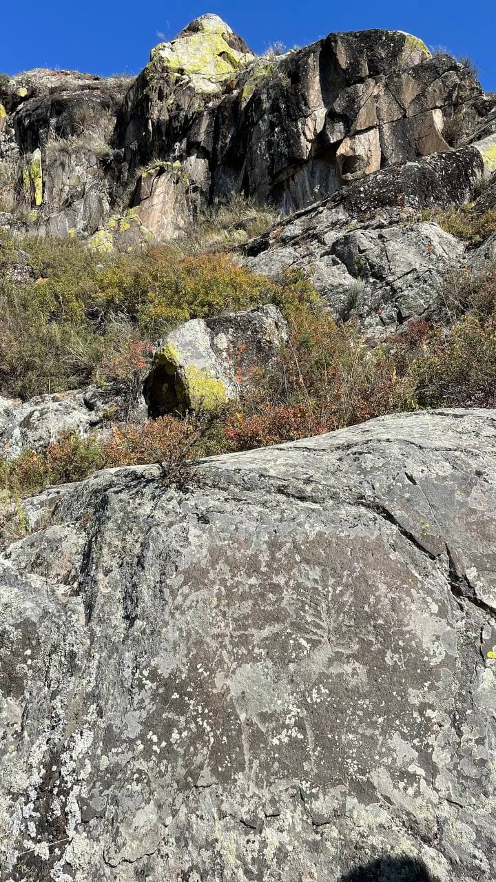 Дорогами скифов - фото 3