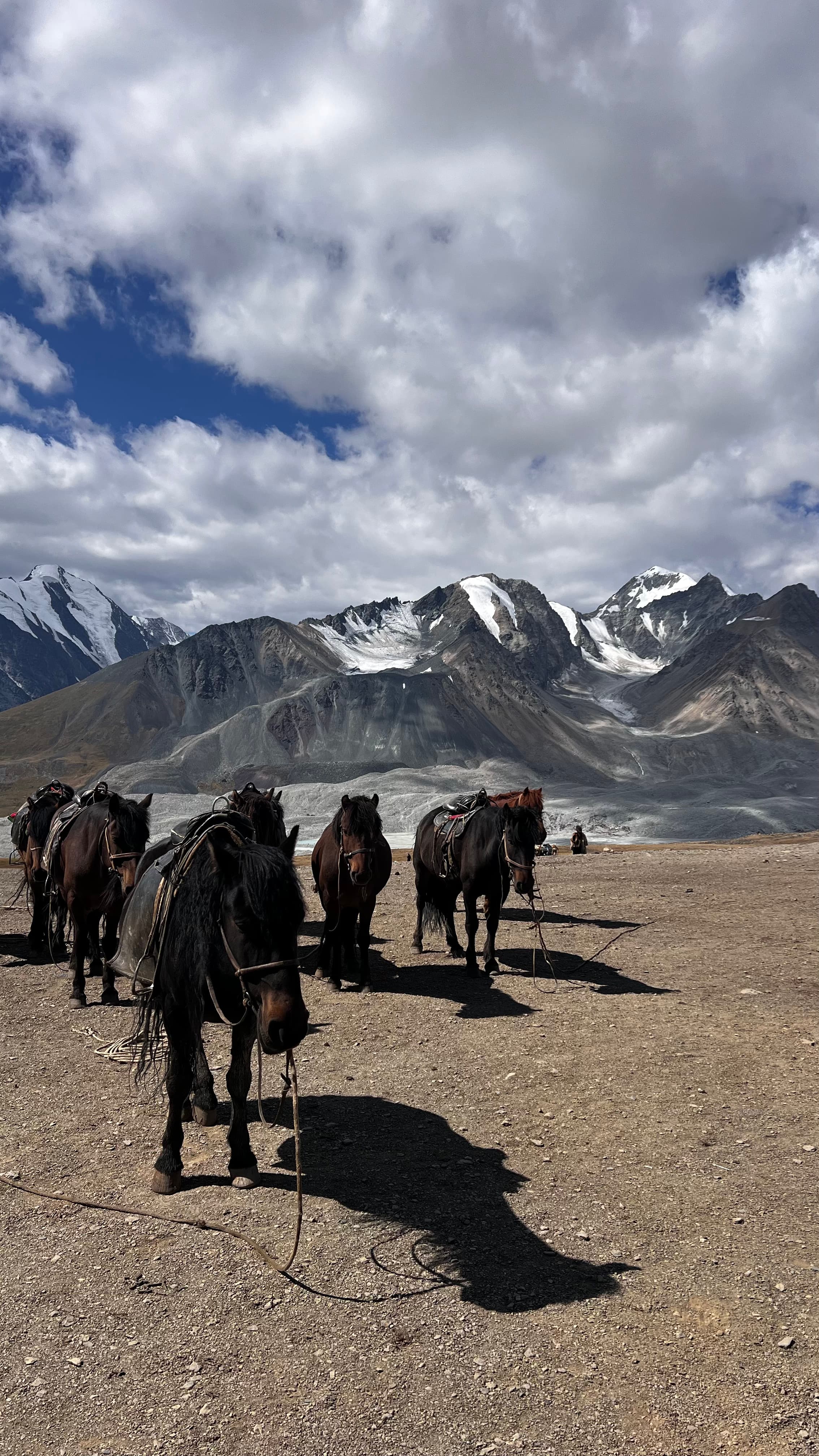Монголия: 49 параллель. - фото 8
