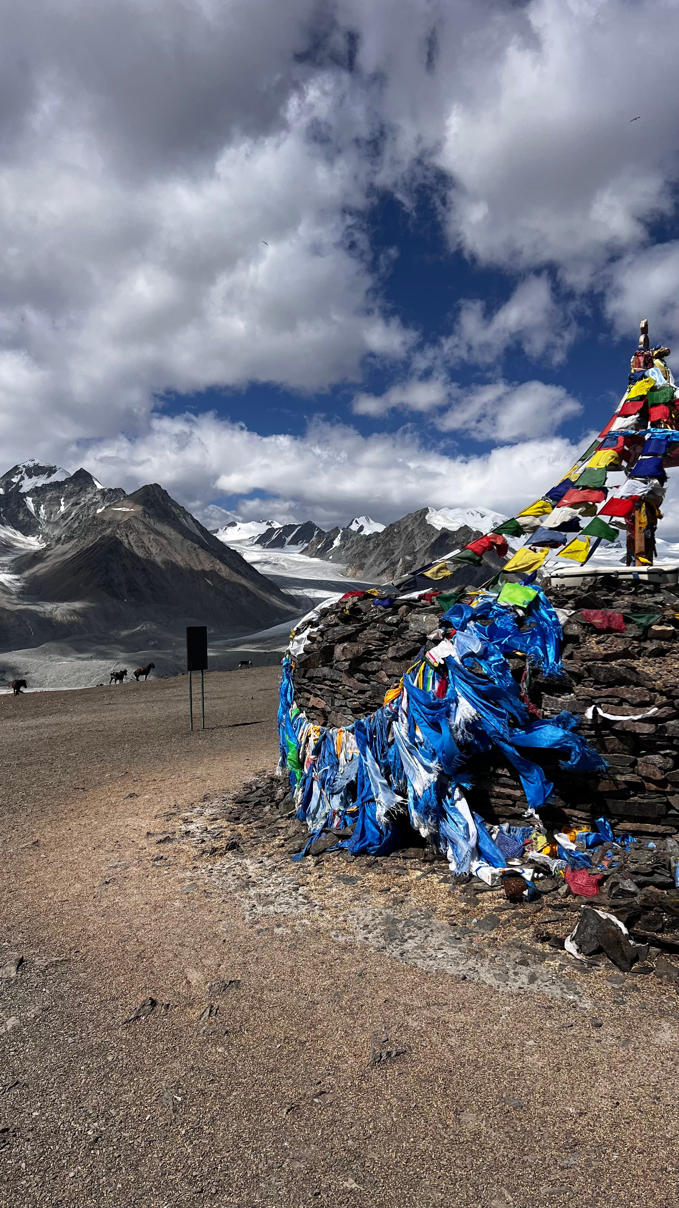 Монголия: 49 параллель. - фото 9