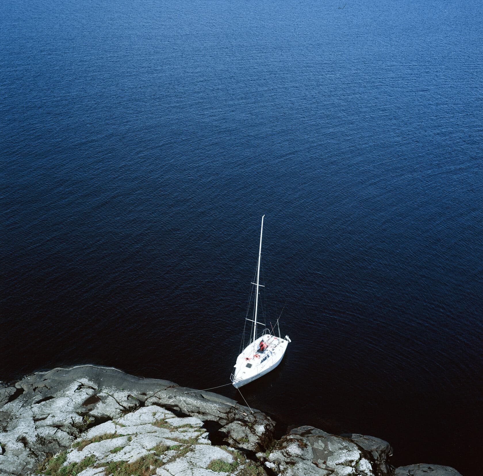 ВОДНЫЙ МИР ПРИЛАДОЖЬЯ. Лето 2026 - фото 8