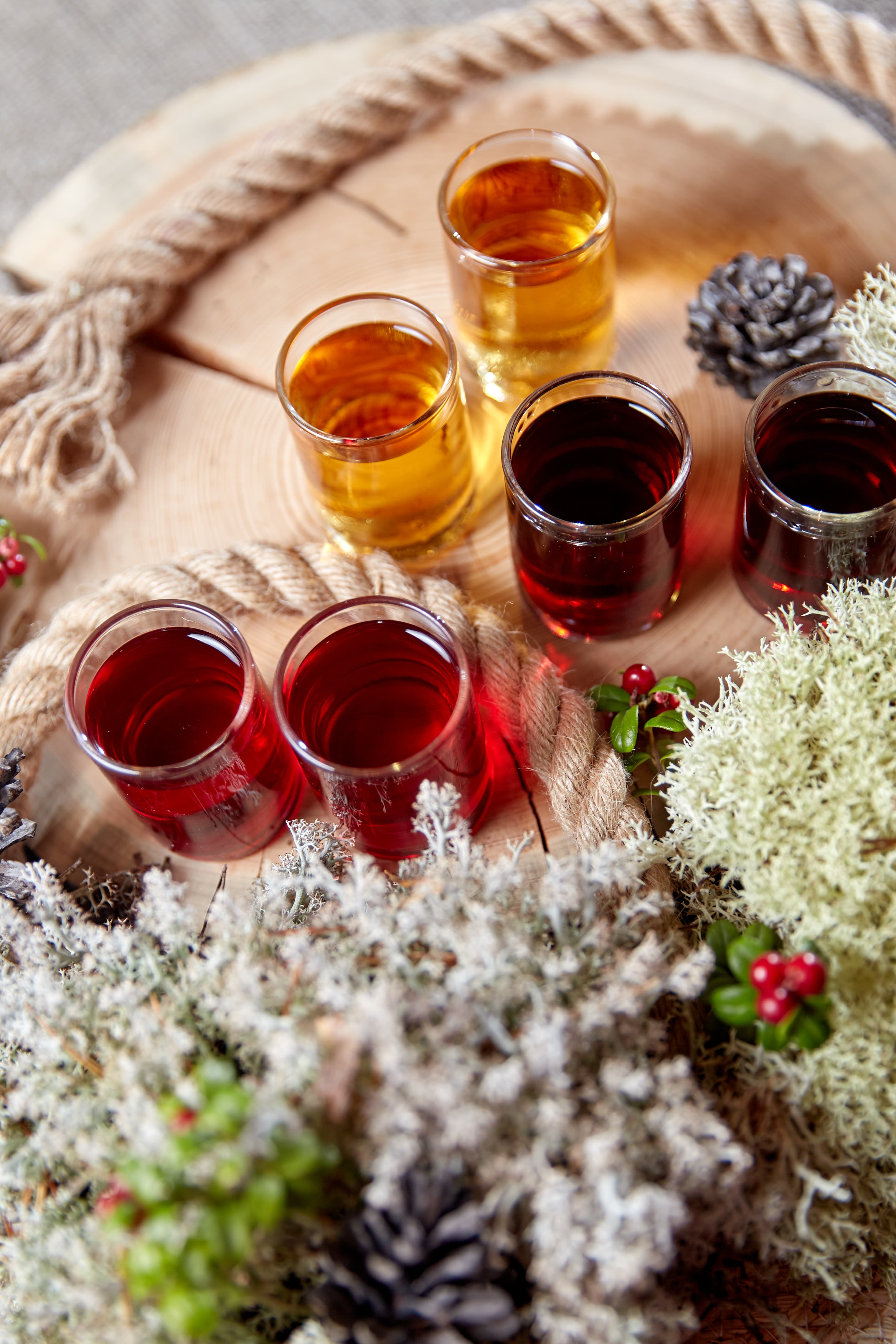 ВОДНЫЙ МИР ПРИЛАДОЖЬЯ. Лето 2026 - фото 7