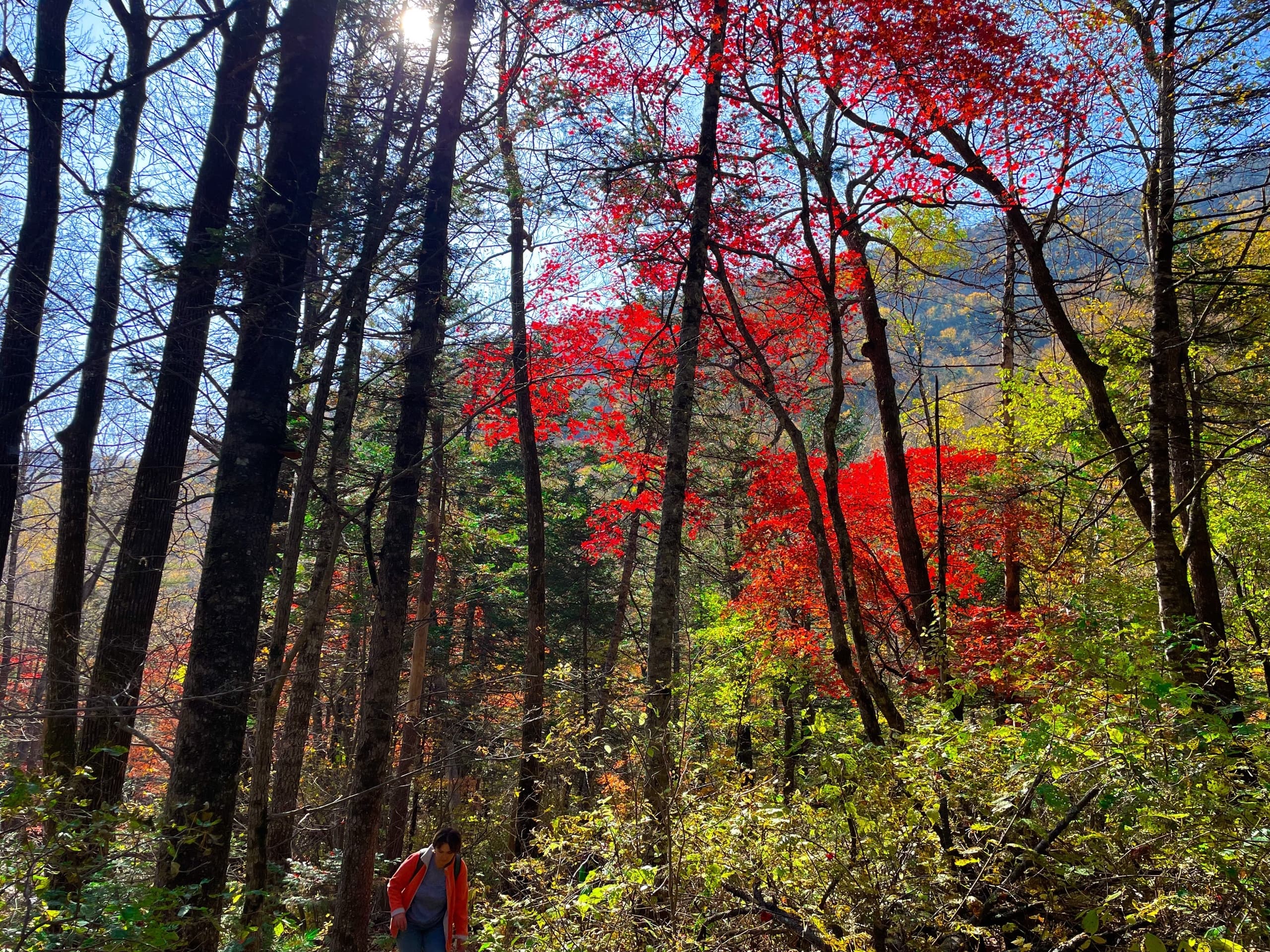 Треккинг на Беневские водопады - фото 6
