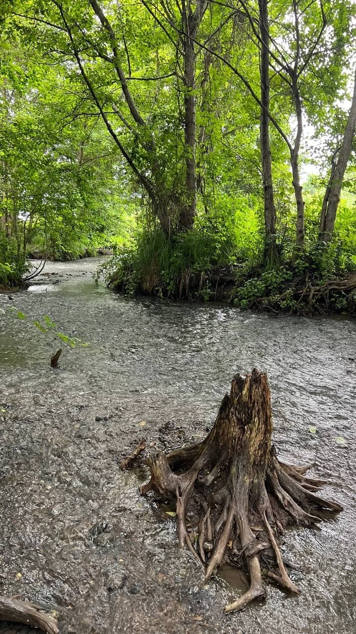 Самурский лес + Экраноплан Лунь - фото 4