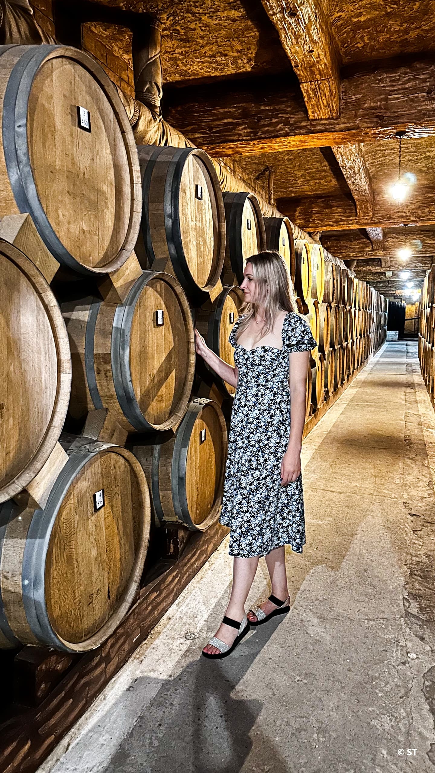 Весенняя цветущая Армения, 6 дней ярких впечатлений! - фото 9