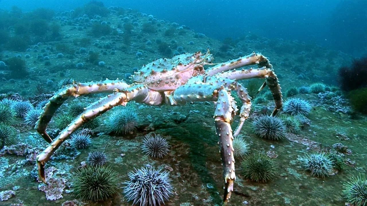 Териберка. Мурманск. Хибины 5 дней/4 ночи - фото 8