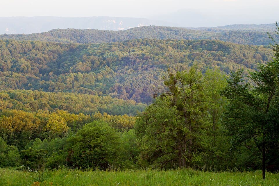 Автобусный тур в горную Адыгею сезон 2026 г. - фото 8