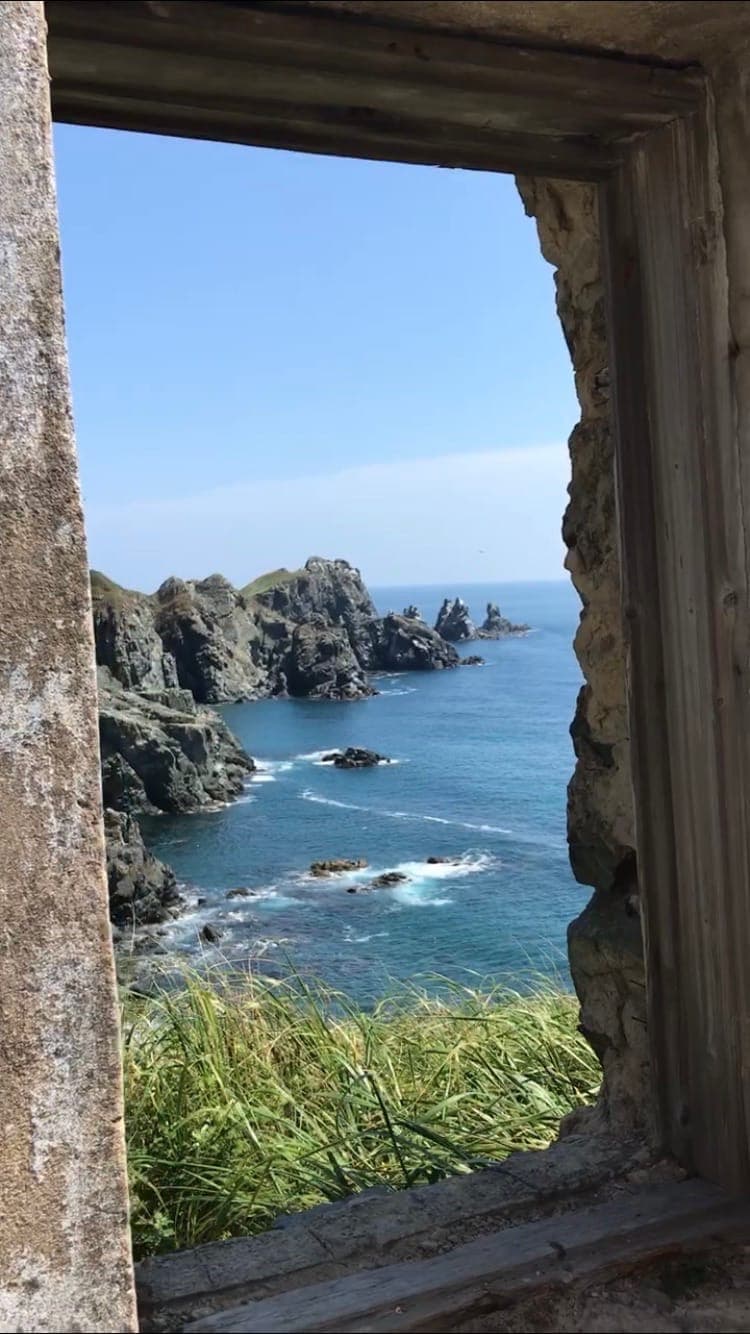 Дайвинг тур в Японском море - фото 4