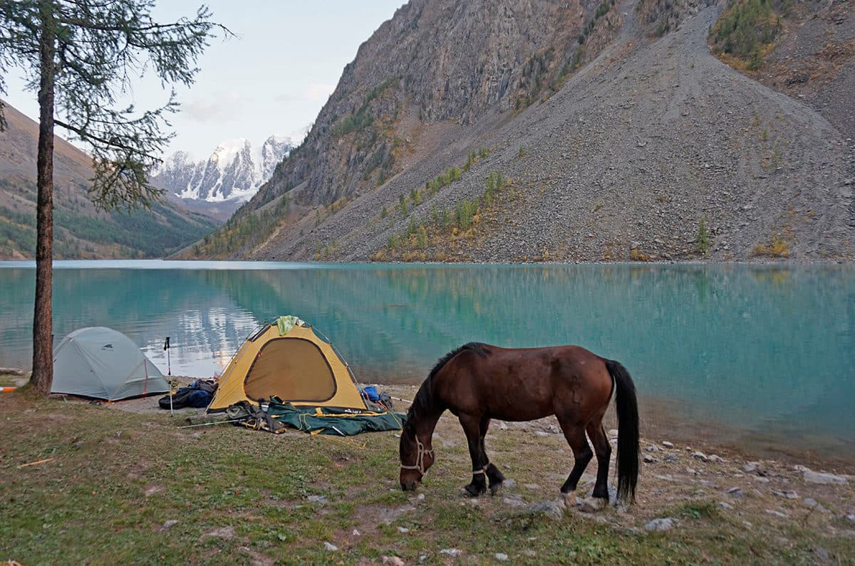 "Шавлинское зазеркалье", пеший поход с вьючными лошадьми - фото 10
