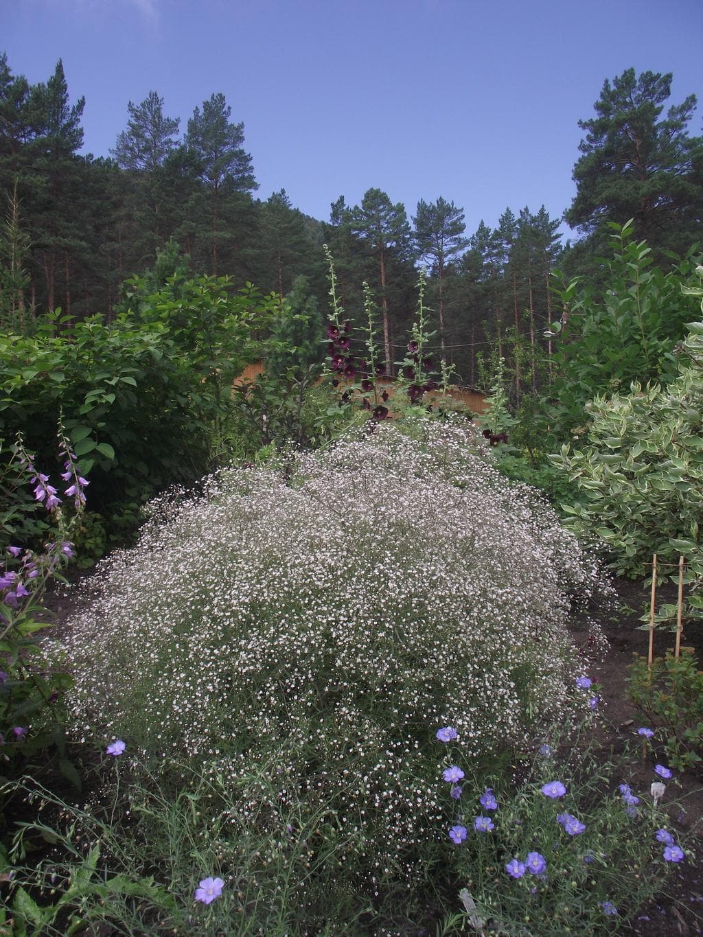 Дары Алтая ( 6 дней / 5 ночей ) - фото 8