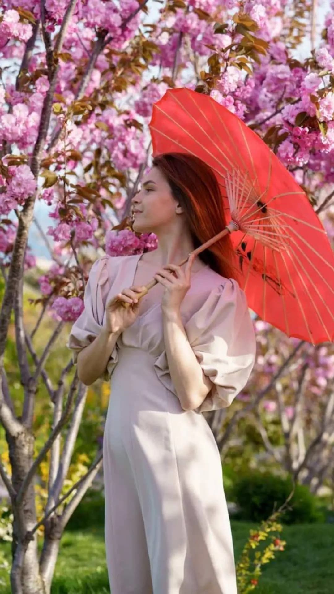 Крым «Мечта о сакуре и весенней Ялте». Mriya Resort • Японский сад «Шесть чувств» • Ялта - фото 5