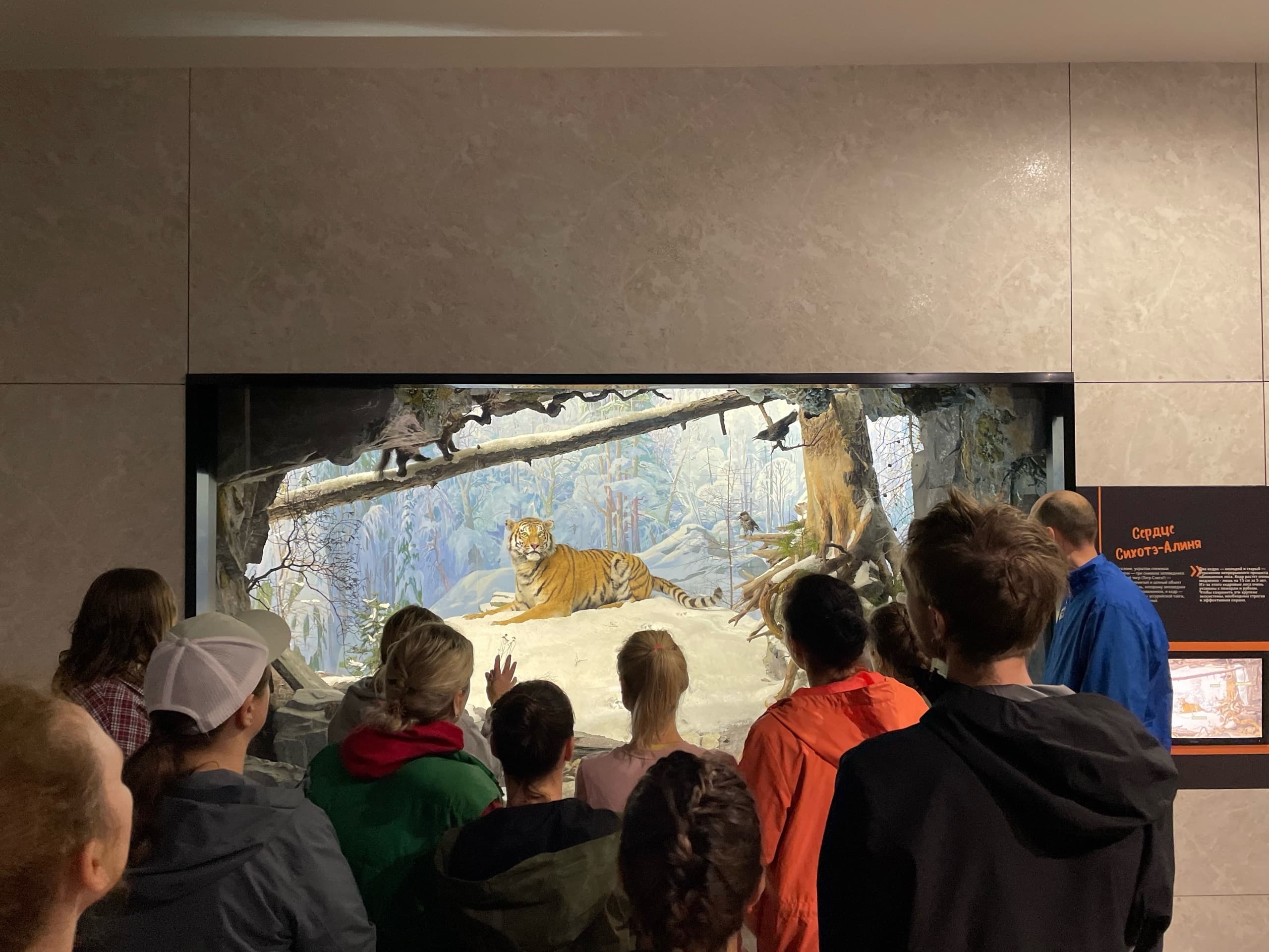 Север Приморья и водопад "Чёрный Шаман" - фото 10