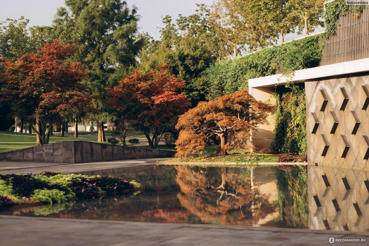 Цветущий Краснодар: парк Галицкого с гарантированным посещением Японского сада - фото 4